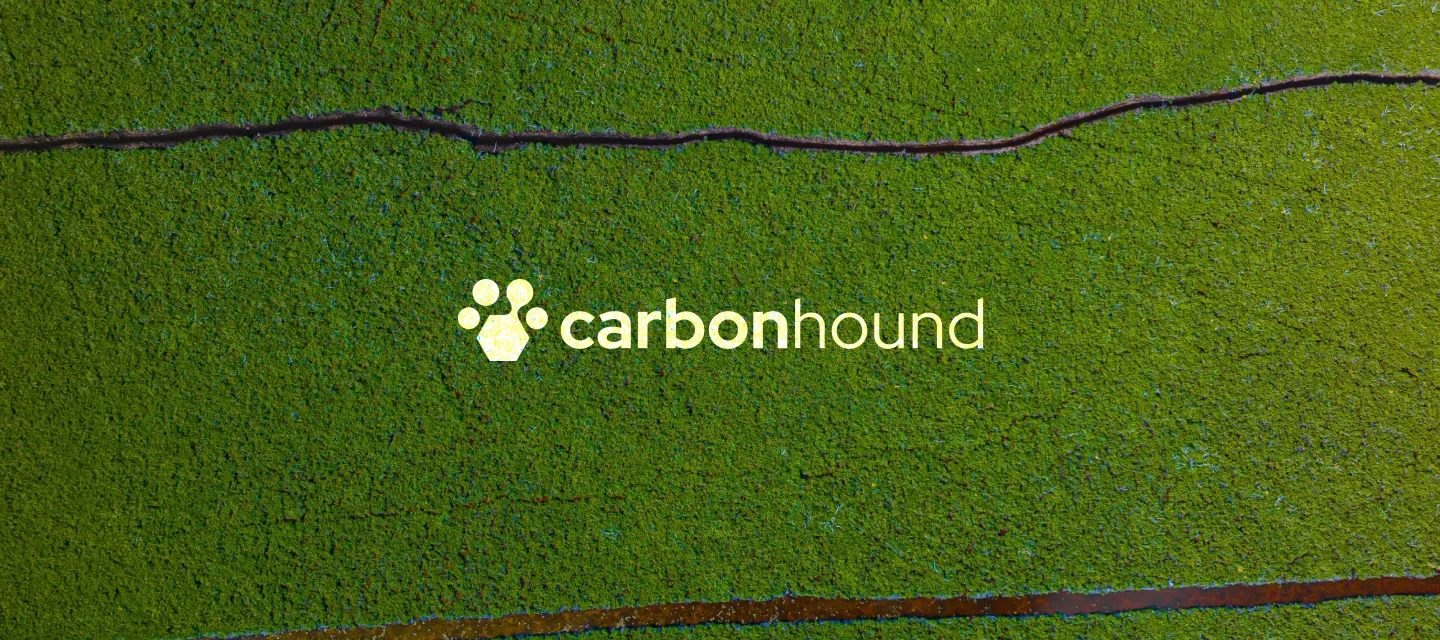 carbon hound