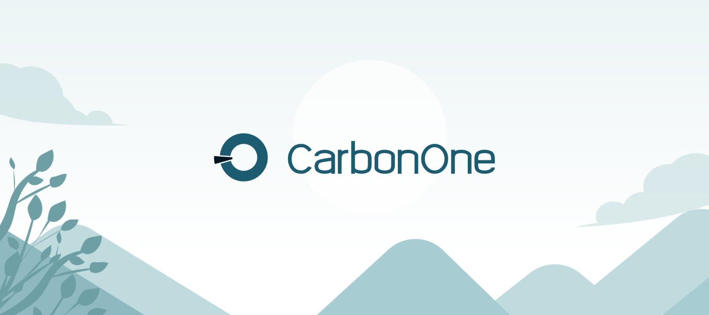 CarbonOne cone