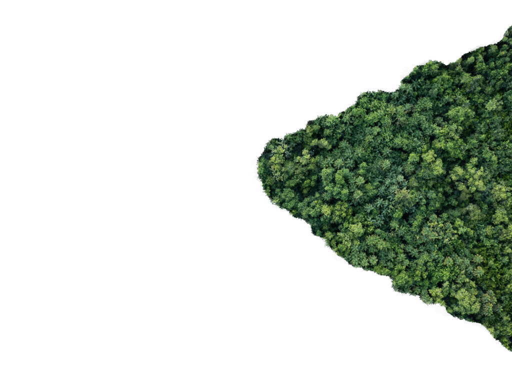 right tree