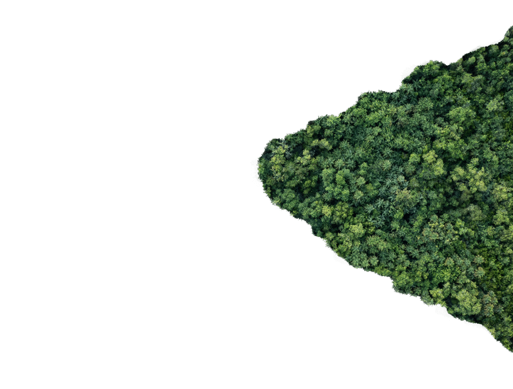 Carbonhound right tree