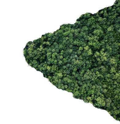 grassmob