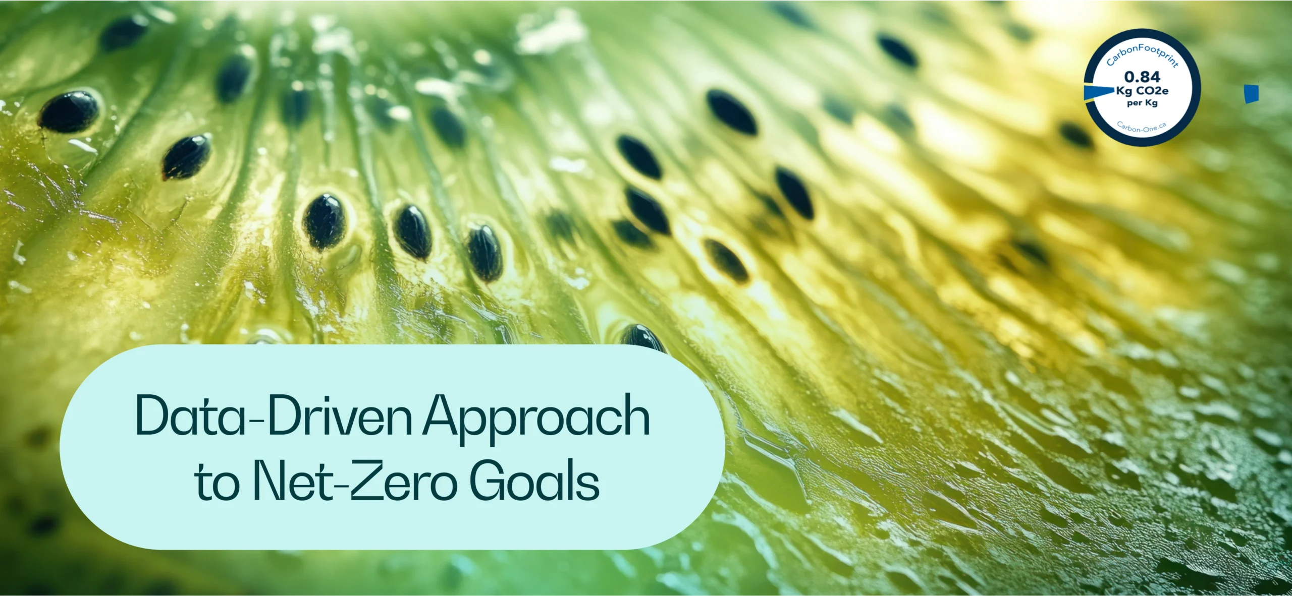 CarbonOne p9120 scaled